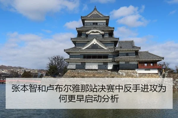 张本智和卢布尔雅那站决赛中反手进攻为何更早启动分析
