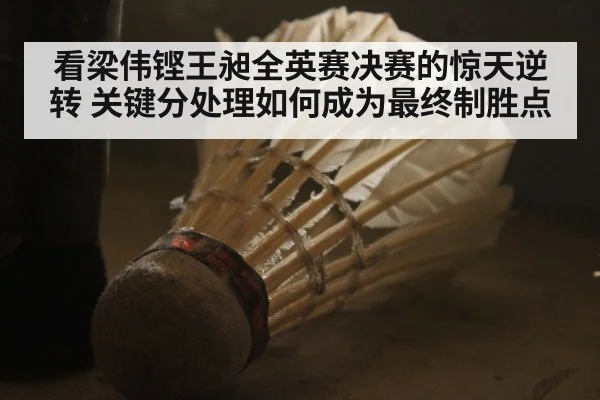 看梁伟铿王昶全英赛决赛的惊天逆转 关键分处理如何成为最终制胜点